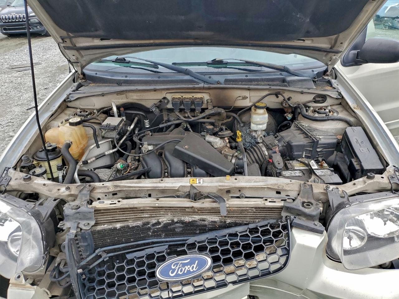 Ford Escape Limited Image 4