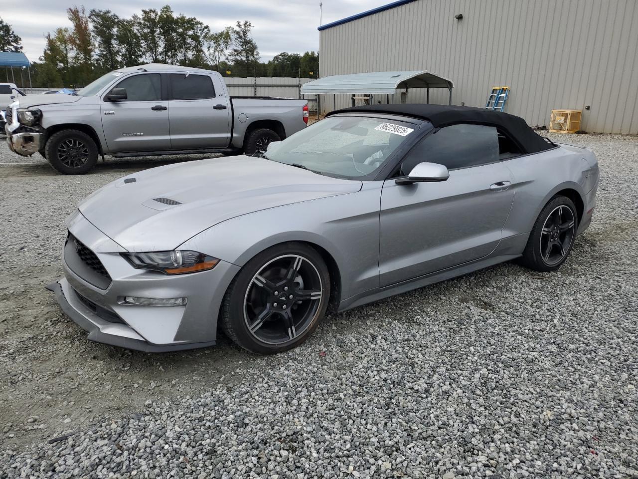 Ford Mustang Image 1