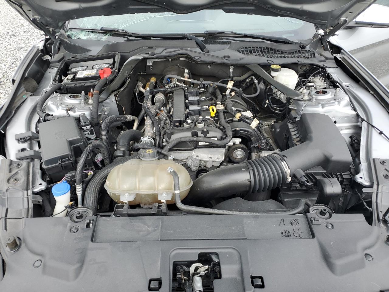 Ford Mustang Image 6