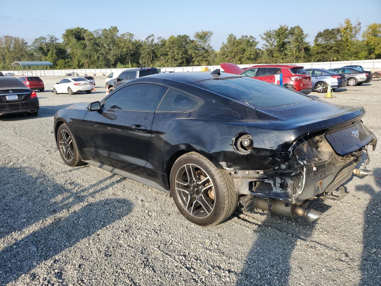 Ford Mustang Image 3