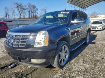  Salvage Cadillac Escalade
