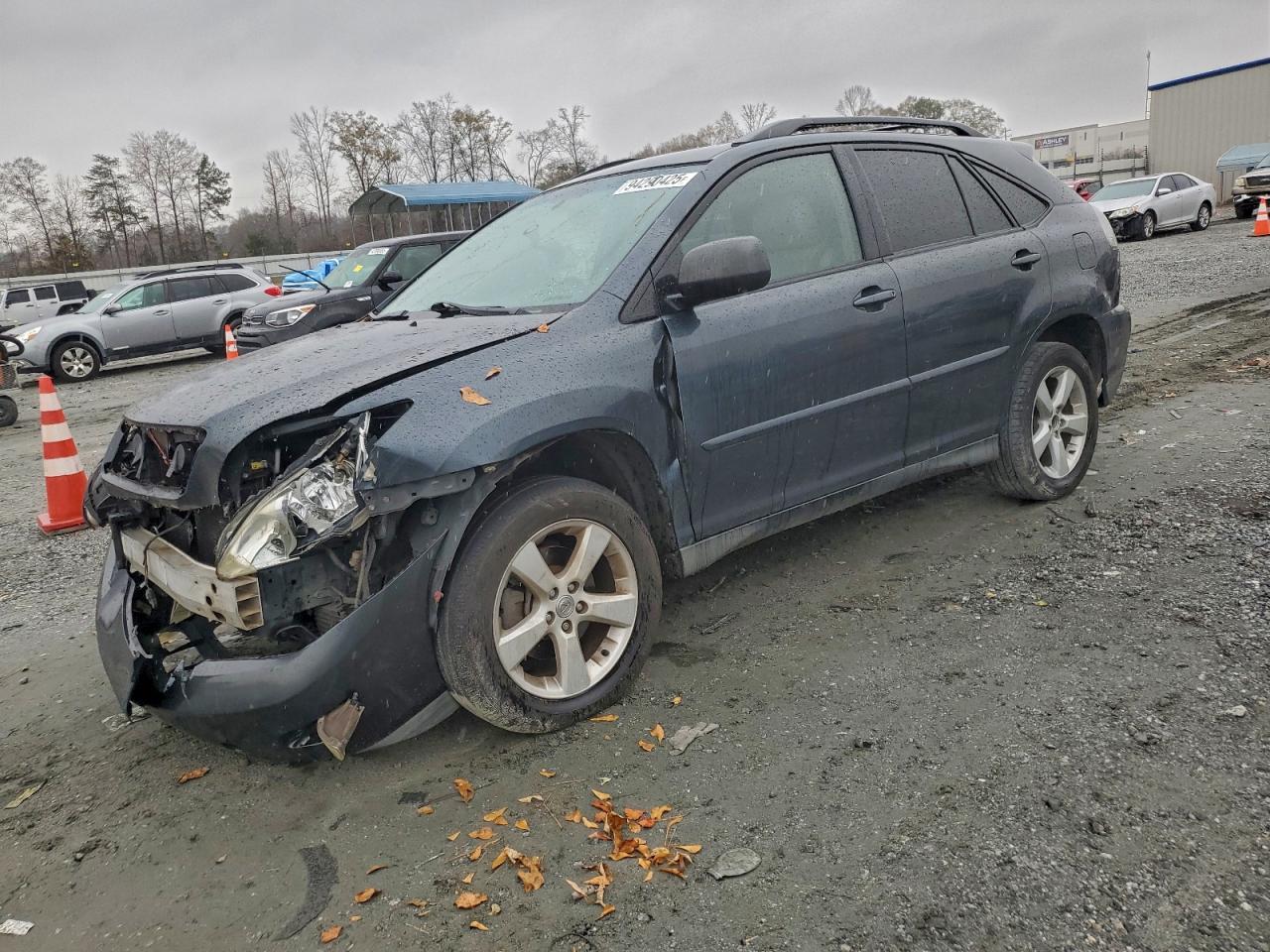 Lexus RX 330 Image 1