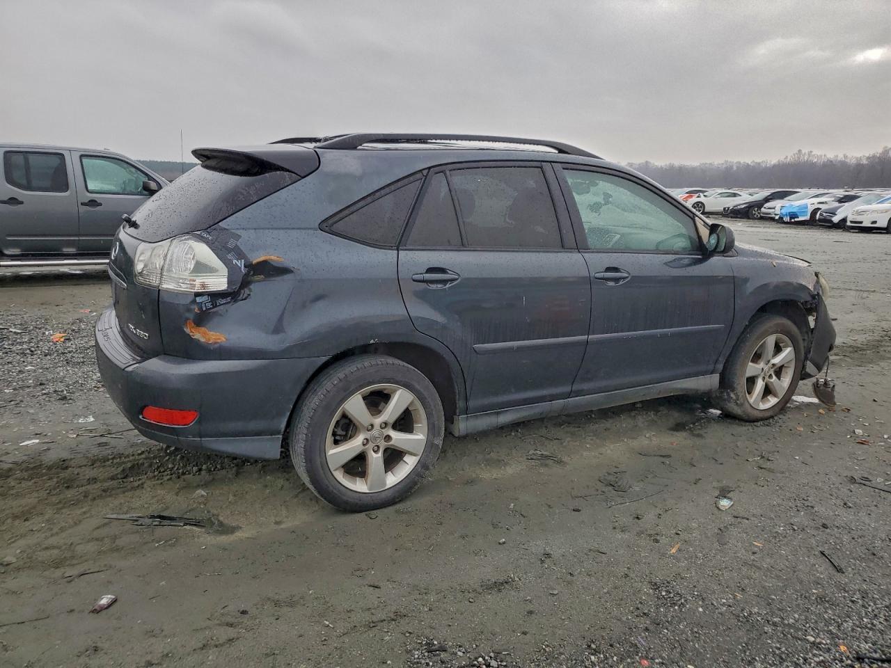 Lexus RX 330 Image 4