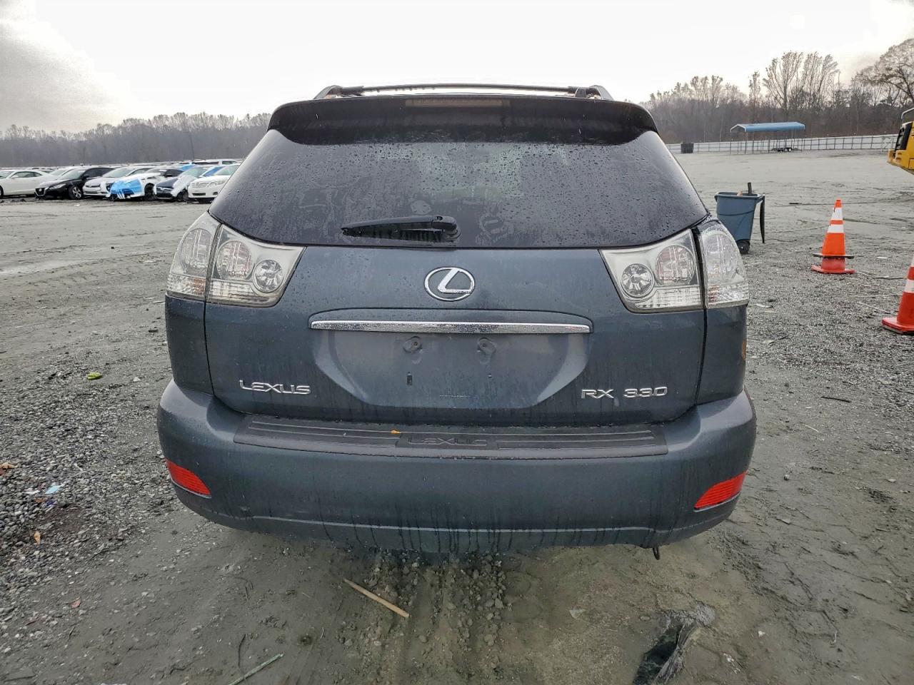 Lexus RX 330 Image 9