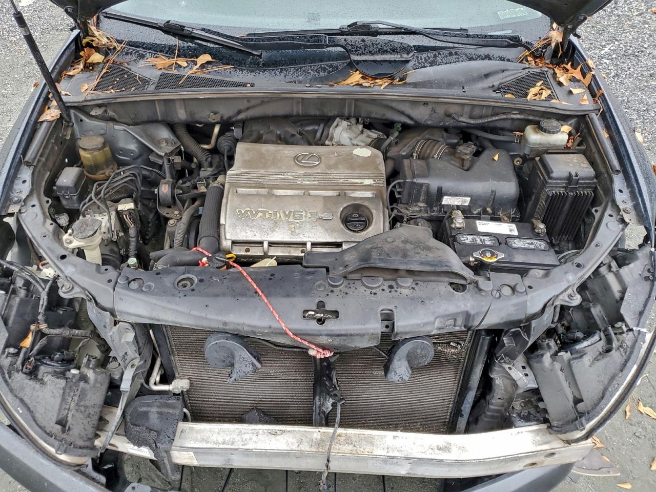 Lexus RX 330 Image 7