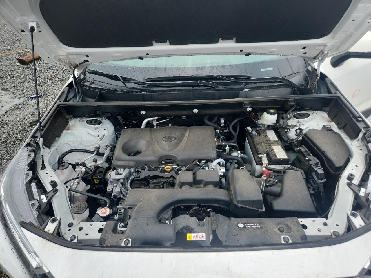 Toyota RAV4 Xle Image 7