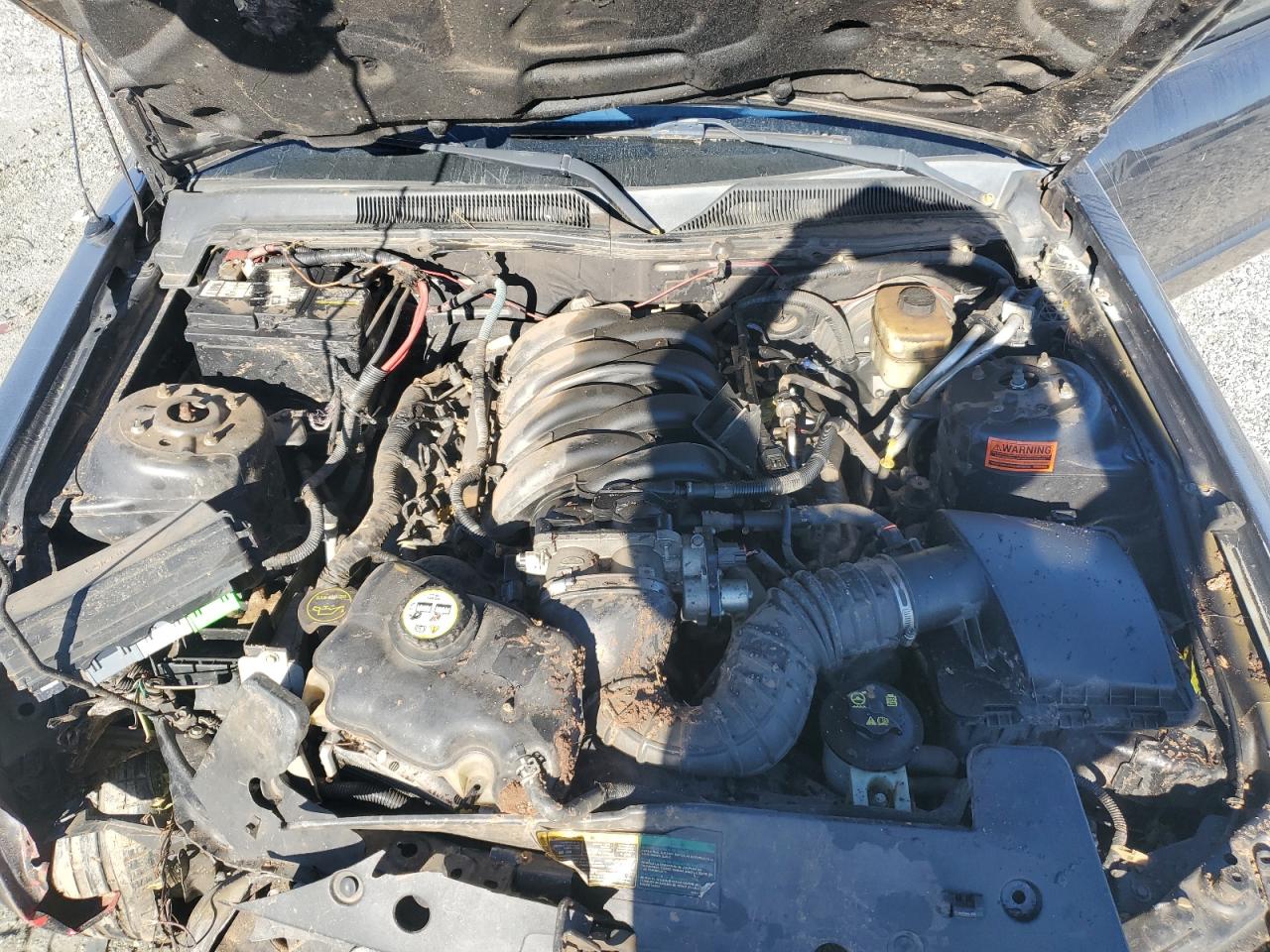 Ford Mustang Gt Image 11