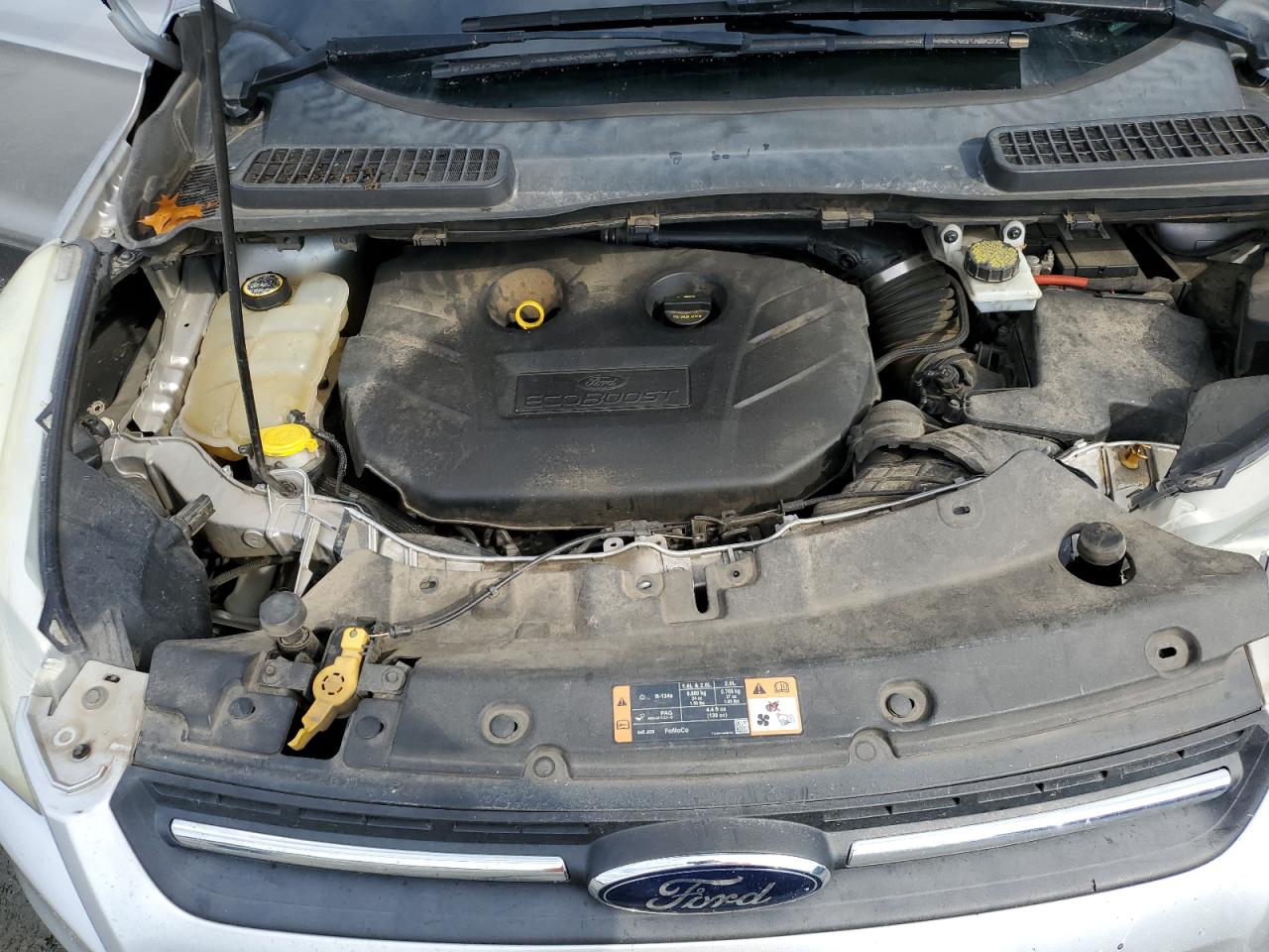 Ford Escape Se Image 5