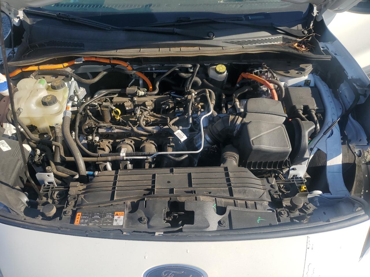 Ford Escape Se Image 10