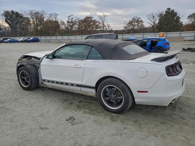 Ford Mustang Image 13