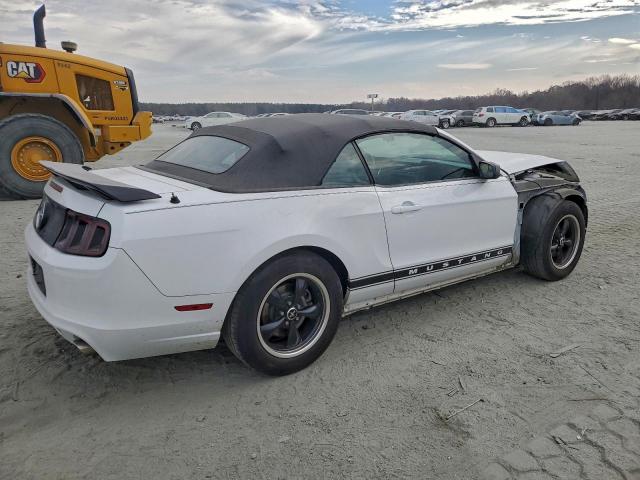 Ford Mustang Image 2