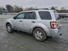 Ford Escape Xlt Image 5