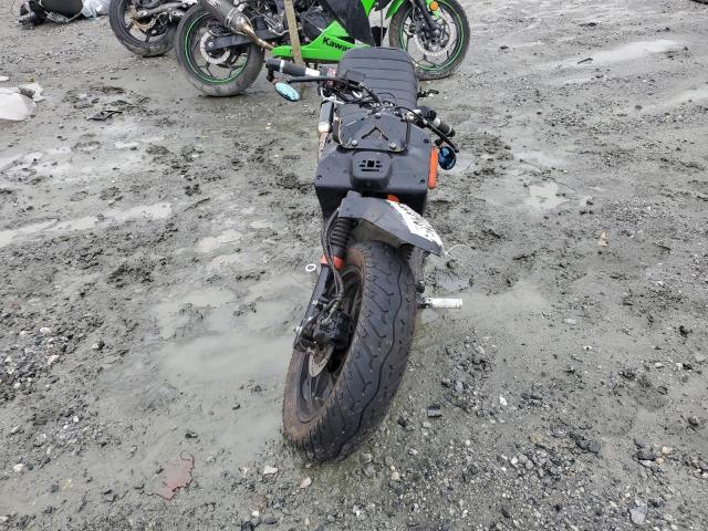 Daix Icebear Image 5