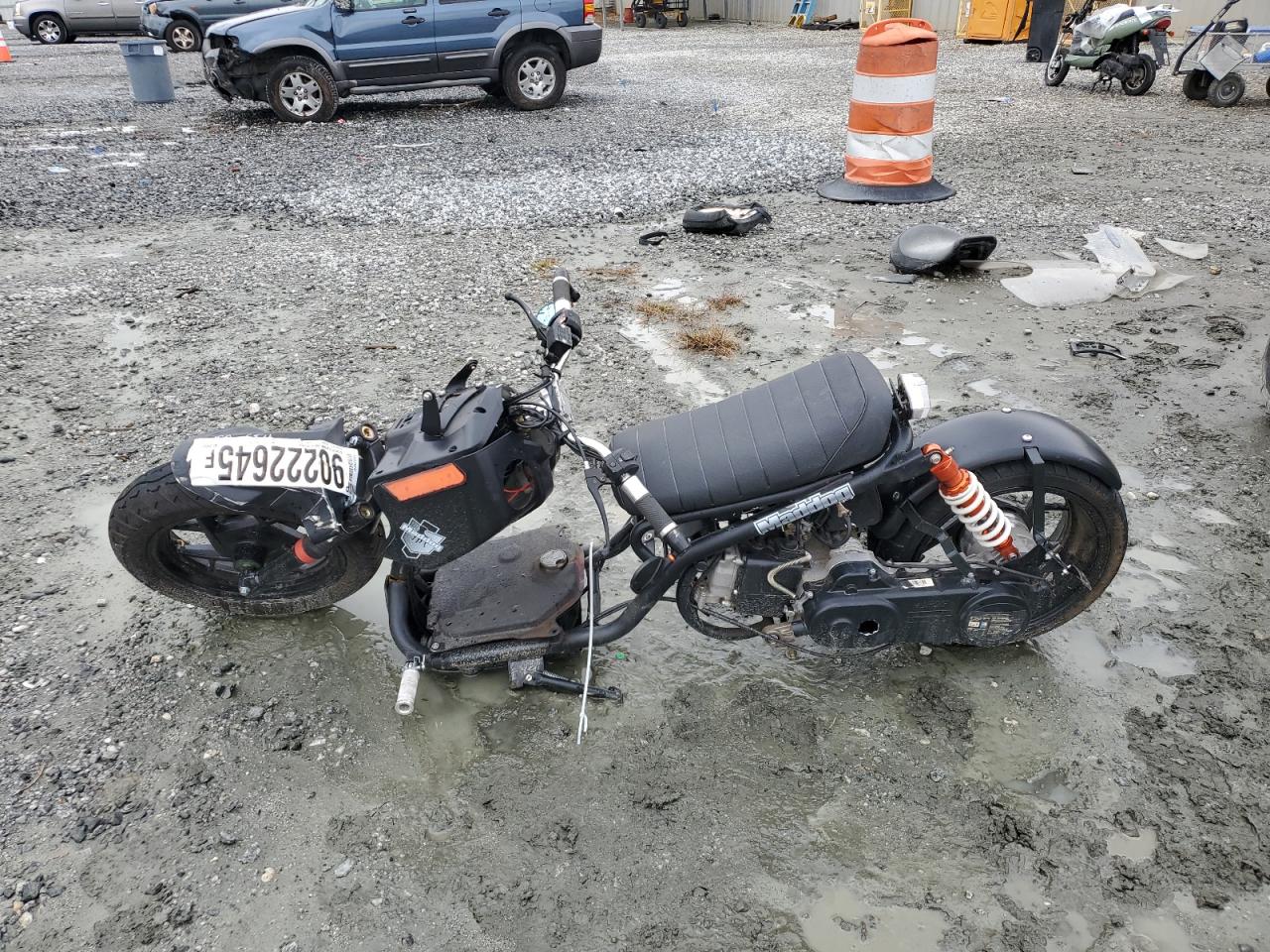 Daix Icebear Image 9