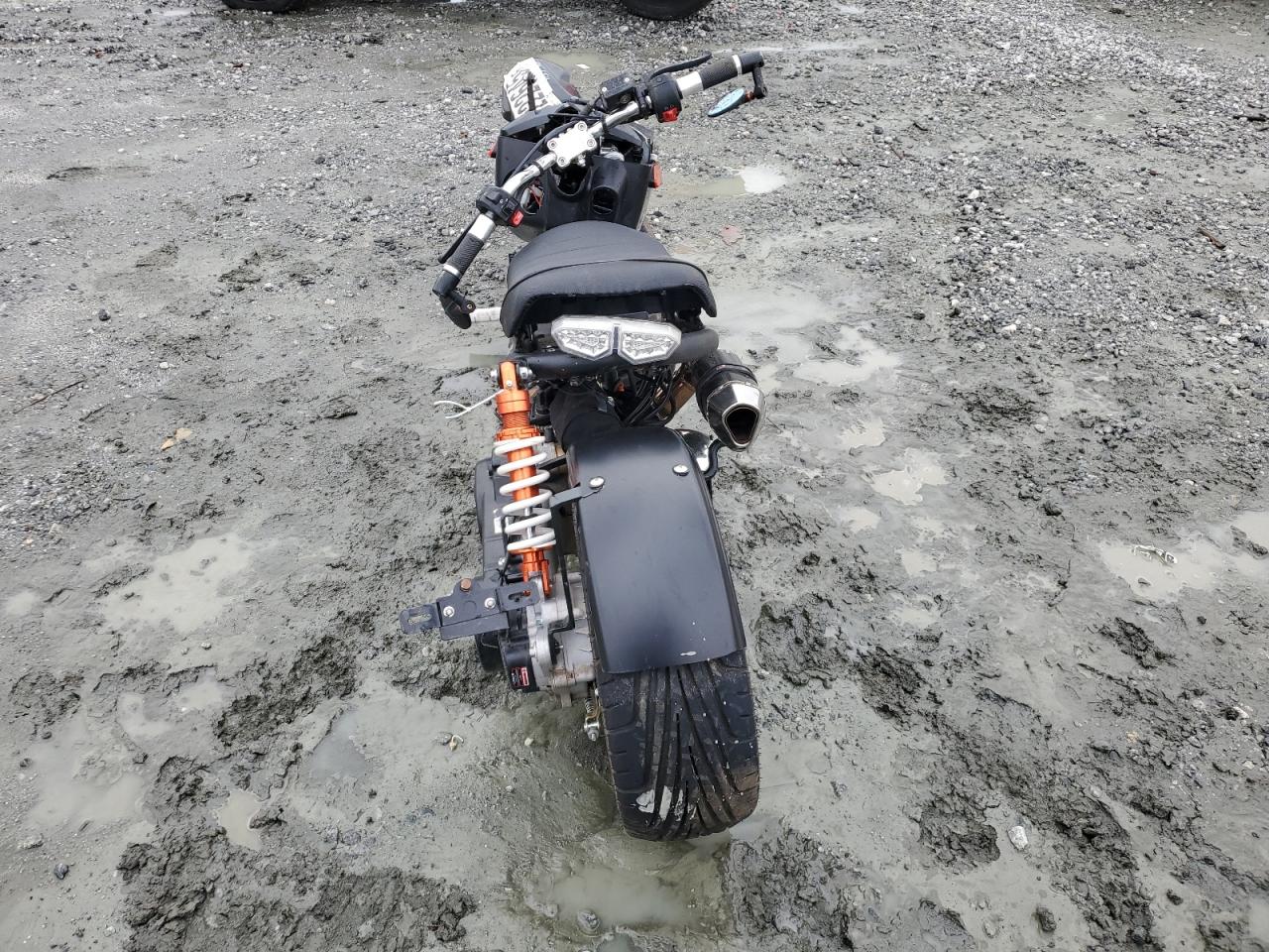 Daix Icebear Image 3