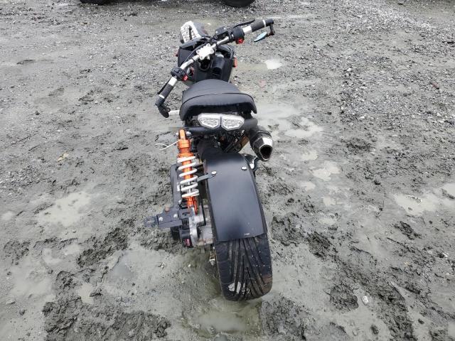 Daix Icebear Image 3