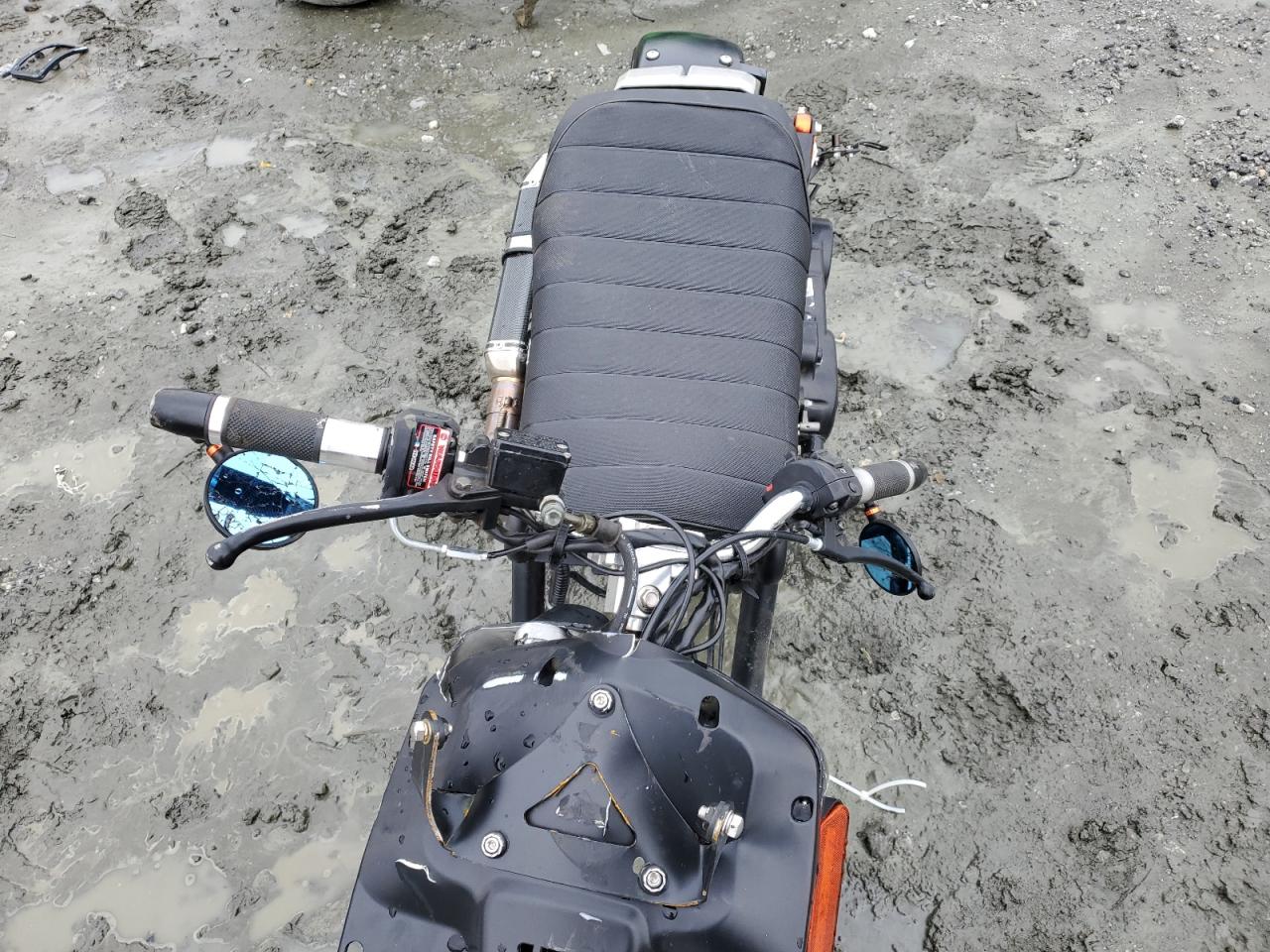 Daix Icebear Image 2