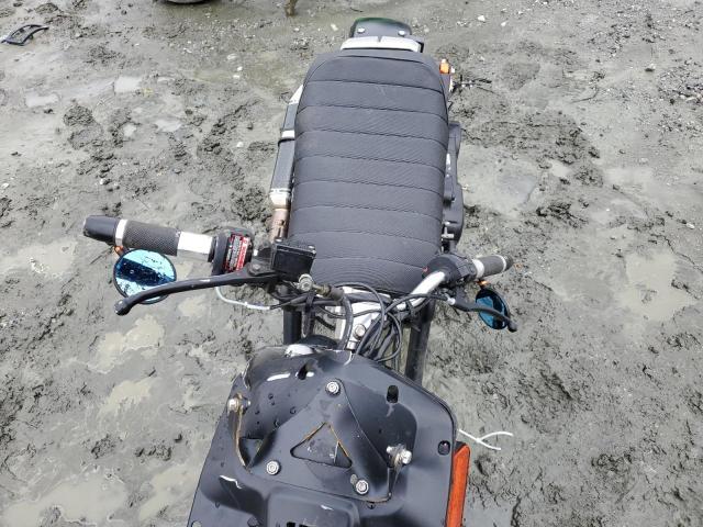 Daix Icebear Image 2