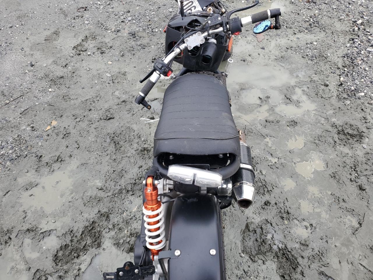 Daix Icebear Image 4