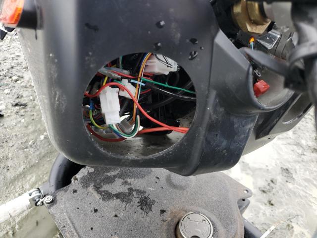 Daix Icebear Image 8