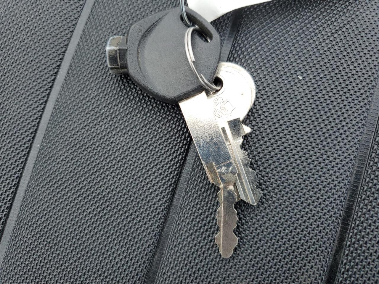 Daix Icebear Image 7