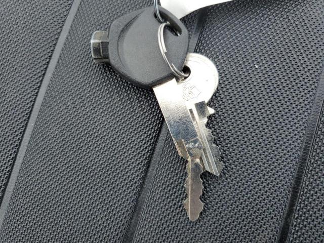 Daix Icebear Image 7