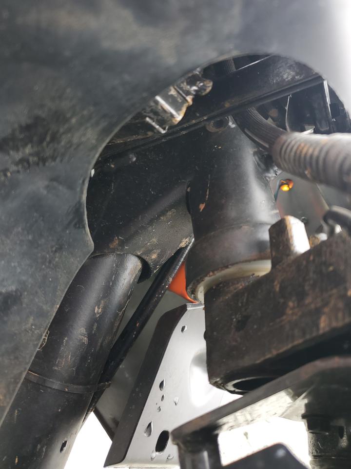 Daix Icebear Image 6