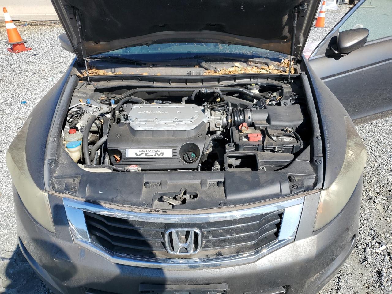 Honda Accord Exl Image 6