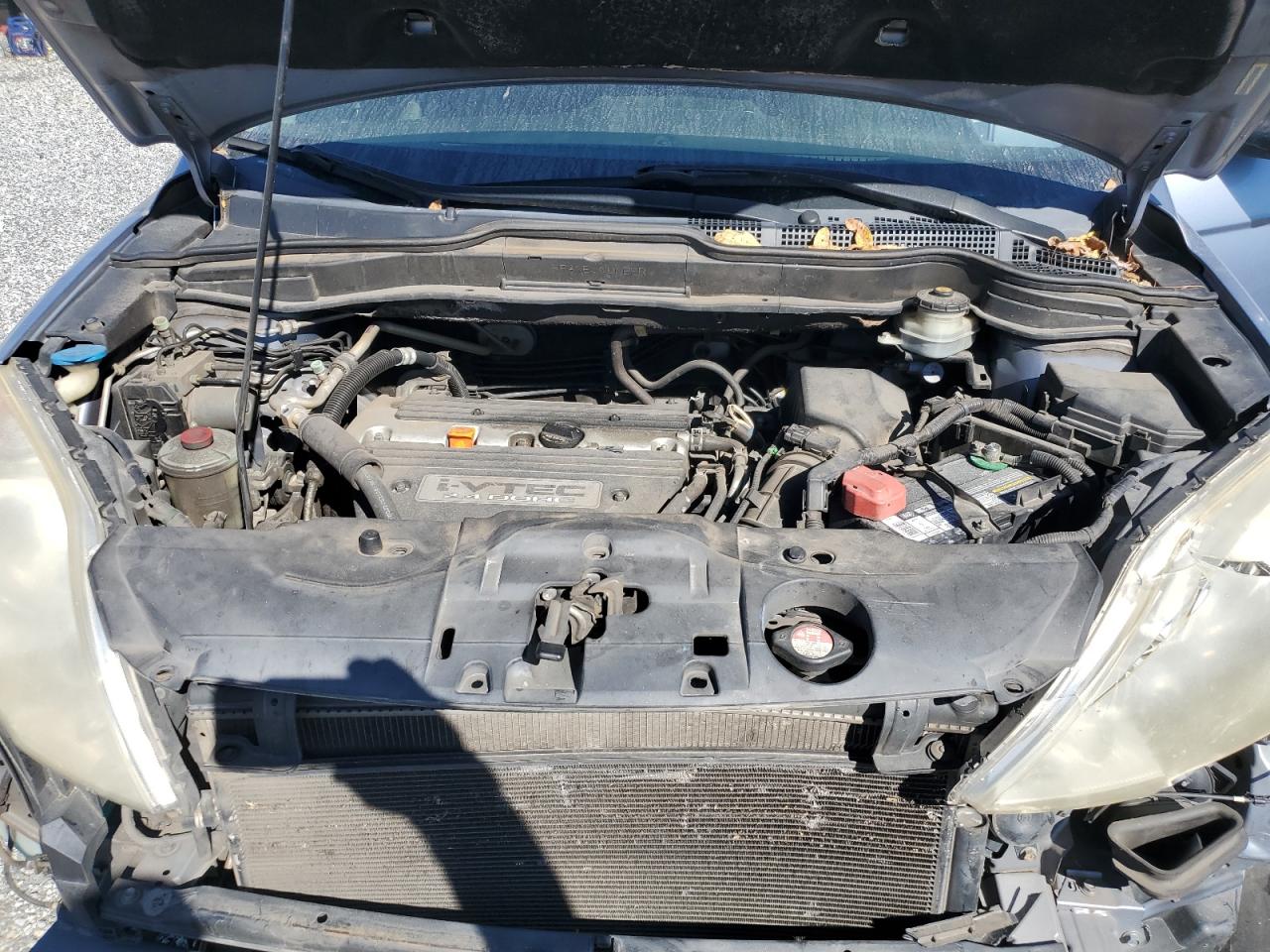 Honda Crv Lx Image 4