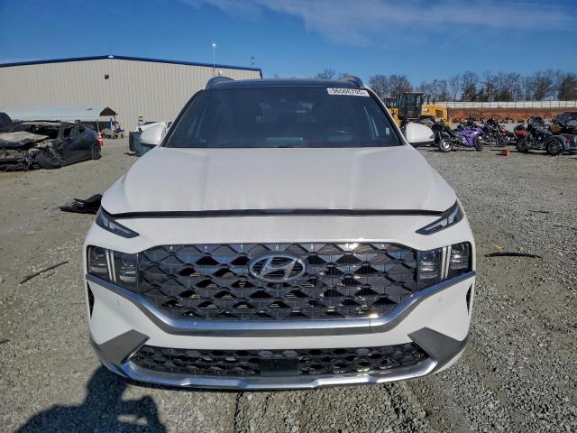 Hyundai SANTA FE Calligraphy Image 8