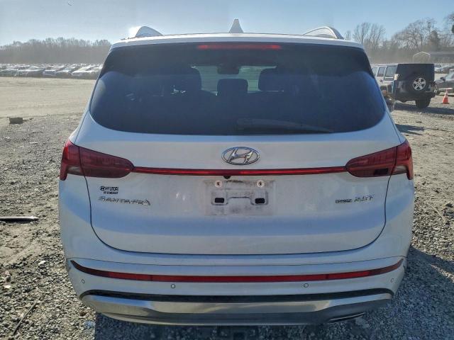 Hyundai SANTA FE Calligraphy Image 6