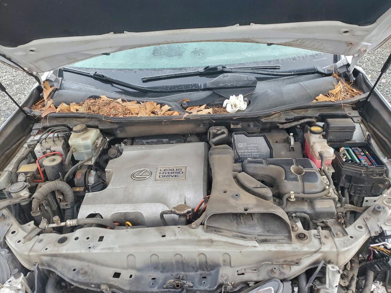 Lexus RX 450h Image 9