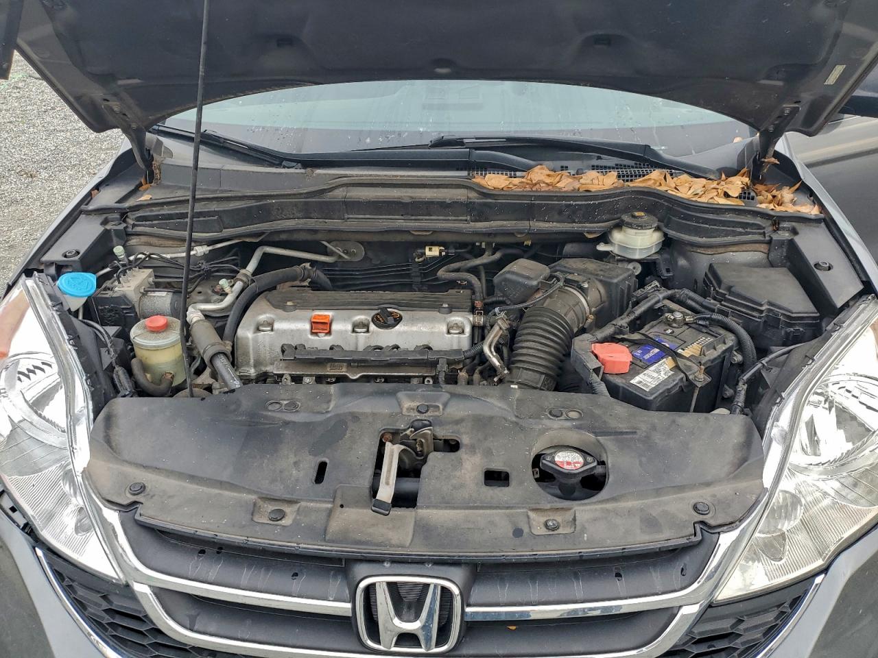 Honda Crv Lx Image 10