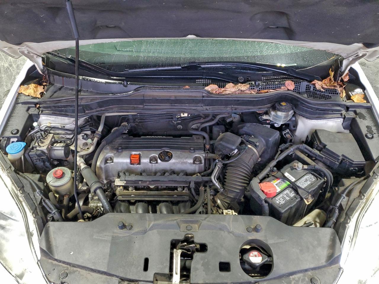 Honda Crv Lx Image 14