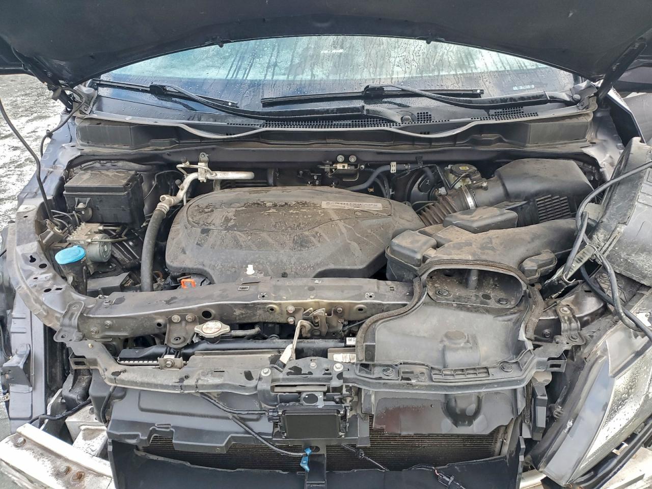 Honda Odyssey Exl Image 13