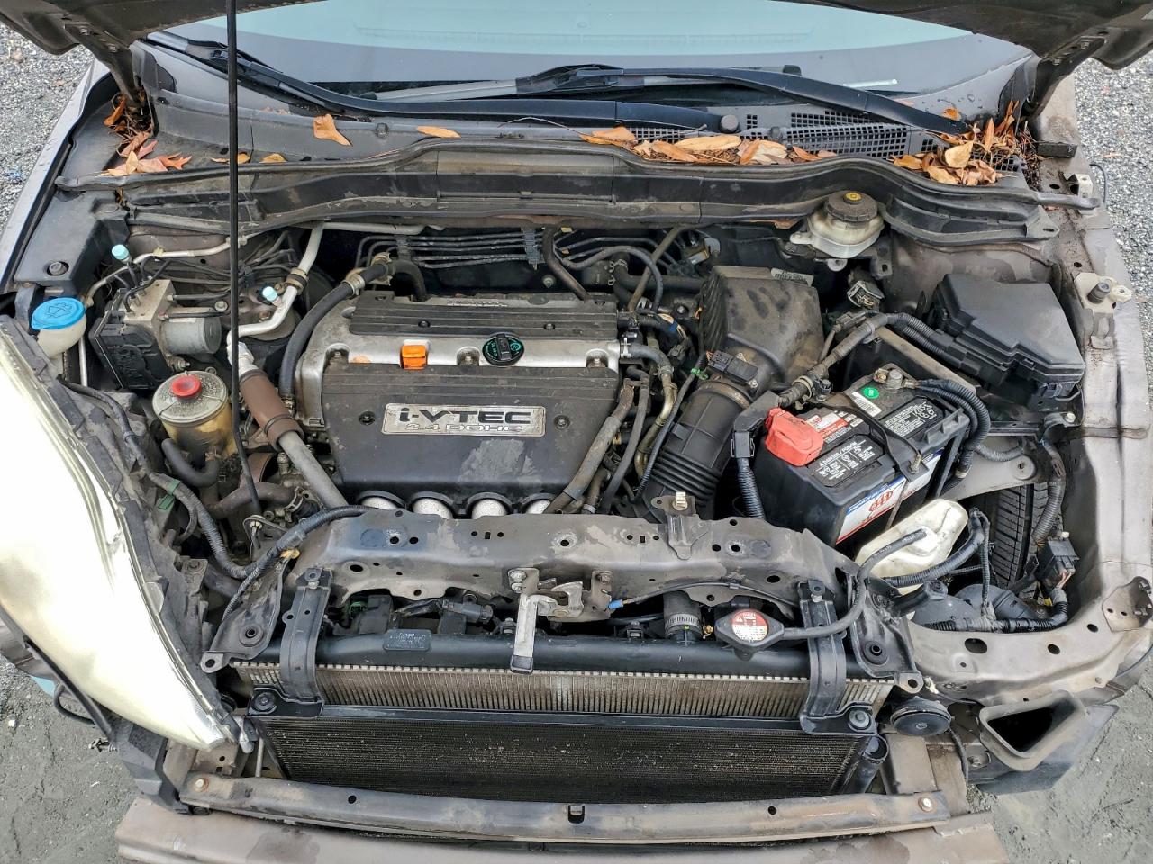 Honda Crv Ex Image 11