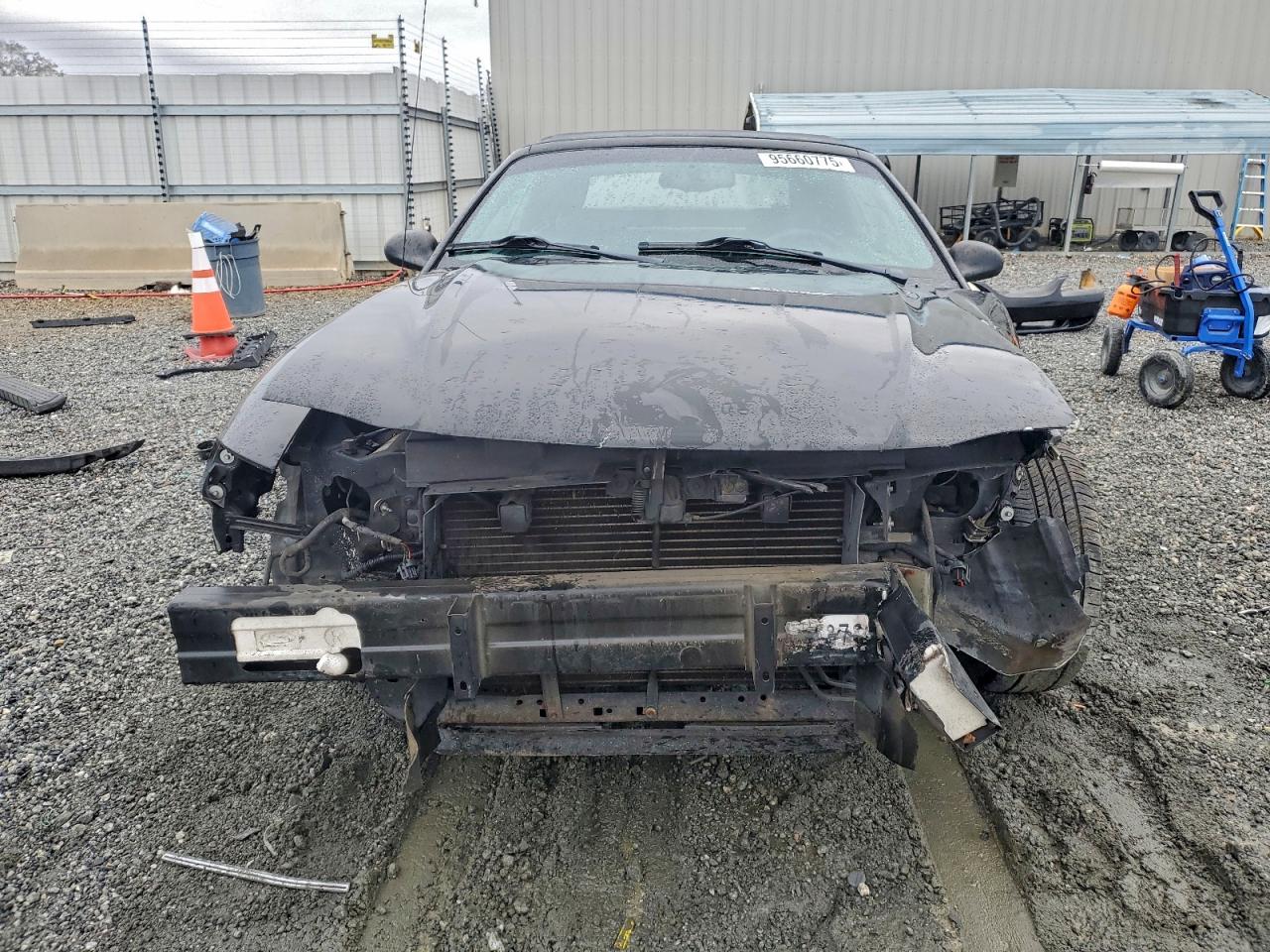 Ford Mustang Image 4