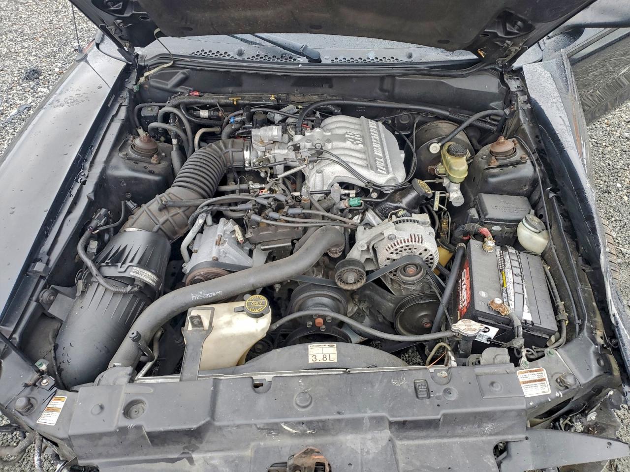 Ford Mustang Image 7