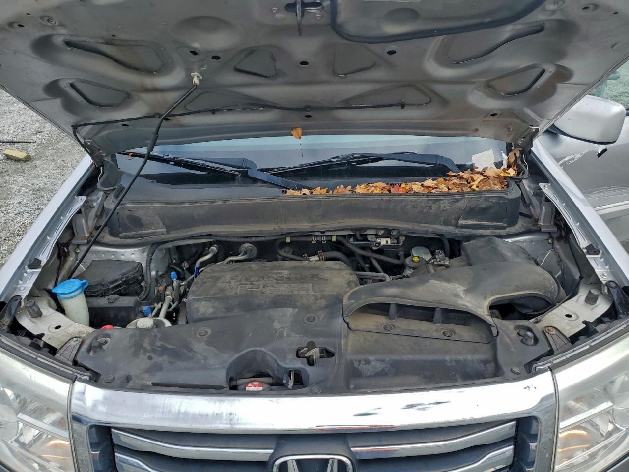 Honda Pilot Exl Image 6