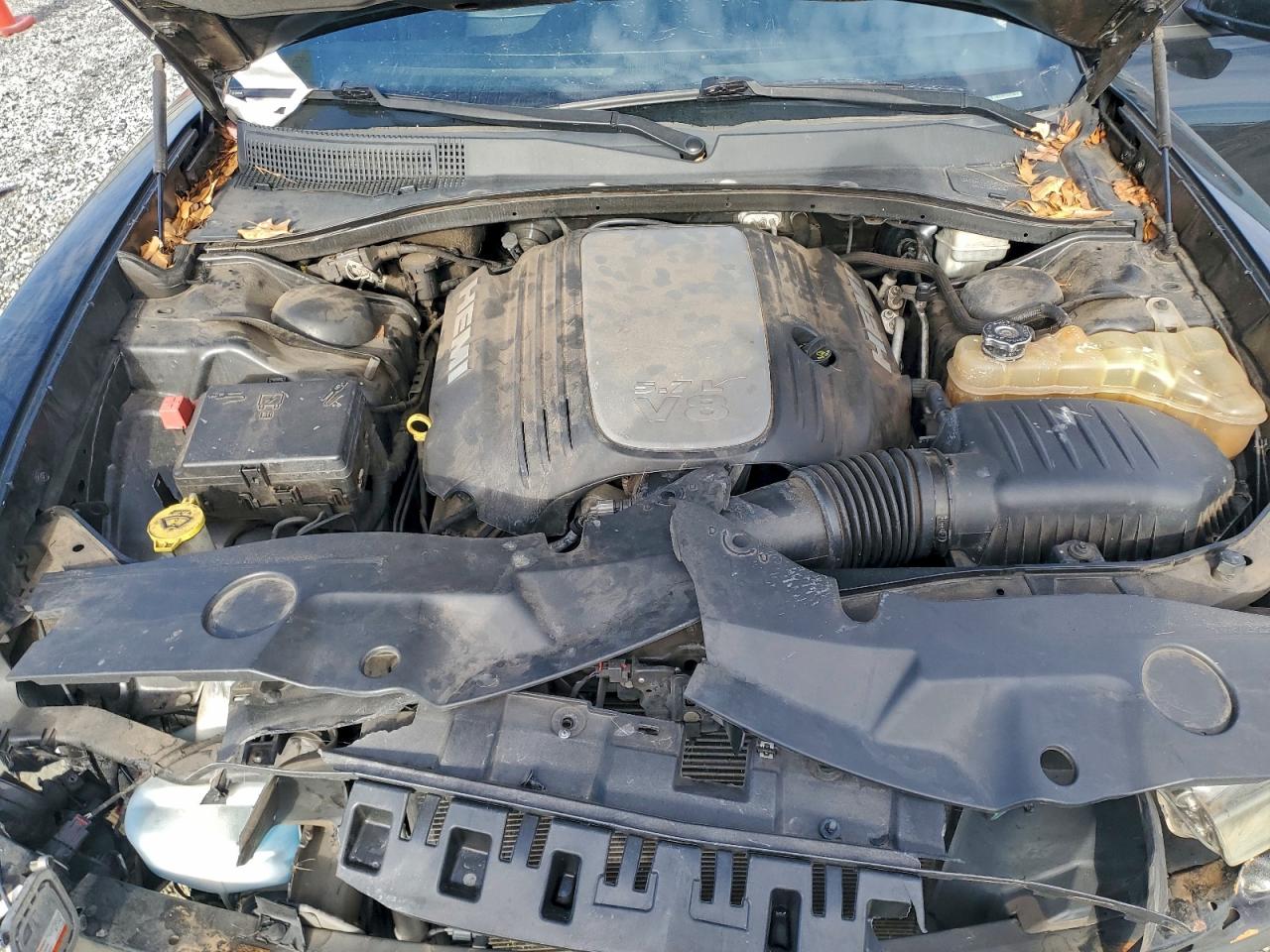 Dodge Charger R/t Image 11