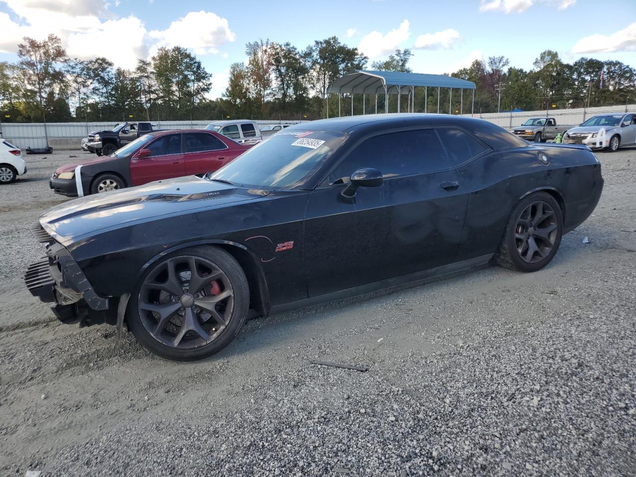 Dodge Challenger R/t Image 1