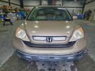 Honda Crv Exl Image 7
