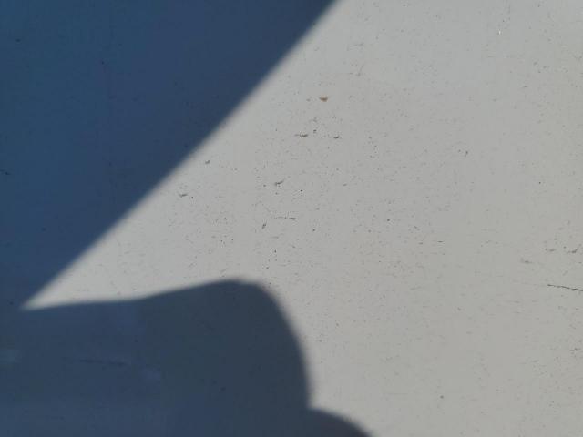 Chevrolet Tahoe K1500 Image 8