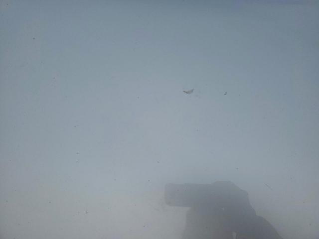 Toyota 4Runner Sr5/sr5 Premium Image 7