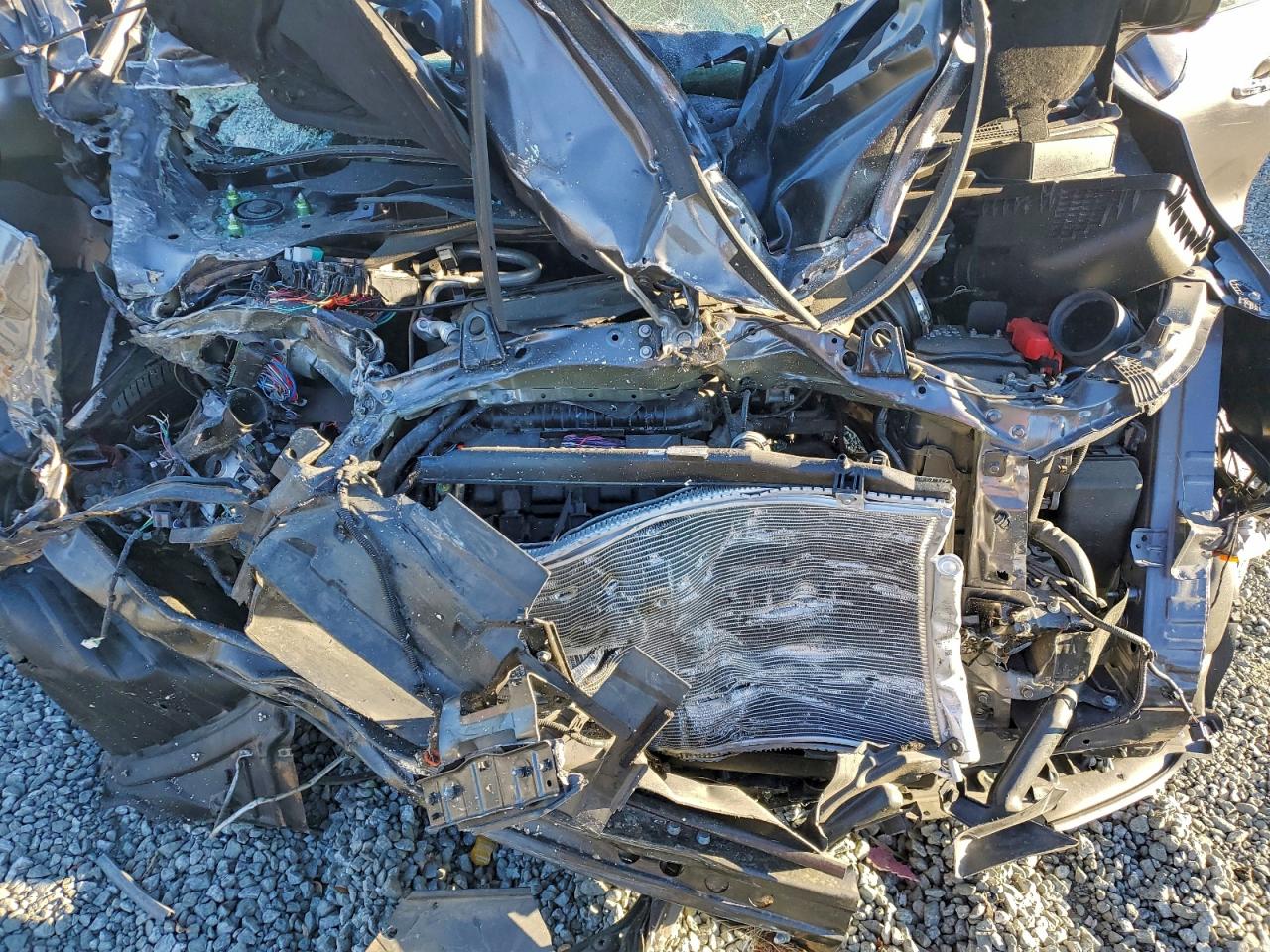 Honda Odyssey Elite Image 4