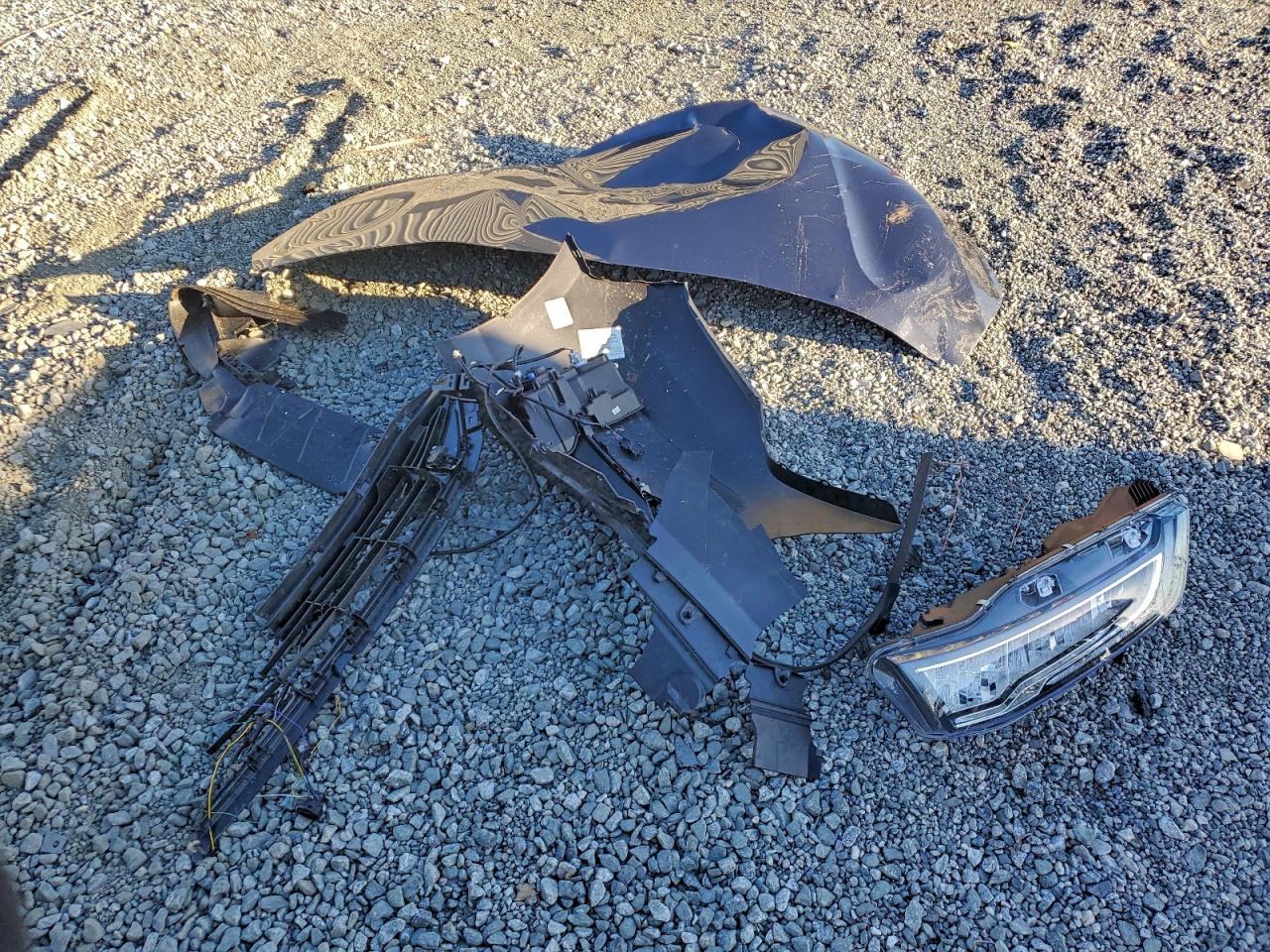 Honda Odyssey Elite Image 9