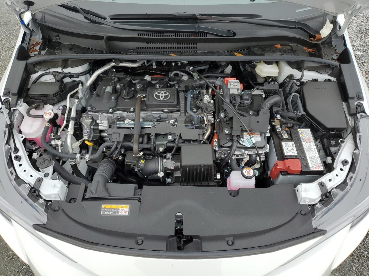 Toyota Corolla Le Image 10