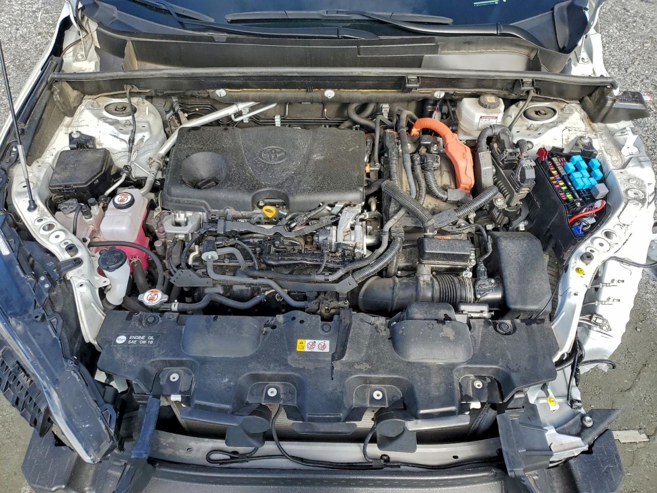 Toyota Venza Le Image 8