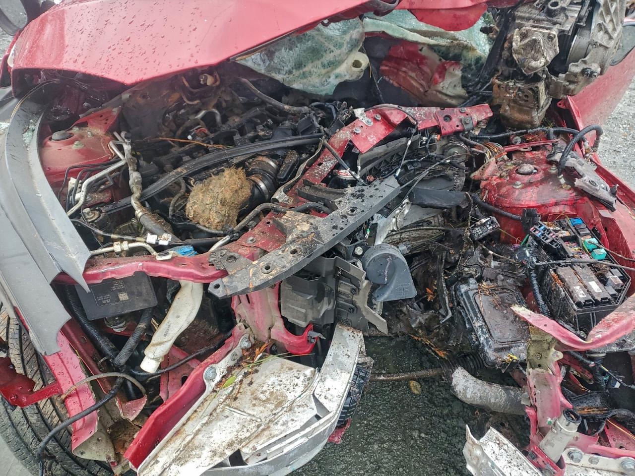 Honda Accord Sport Image 11