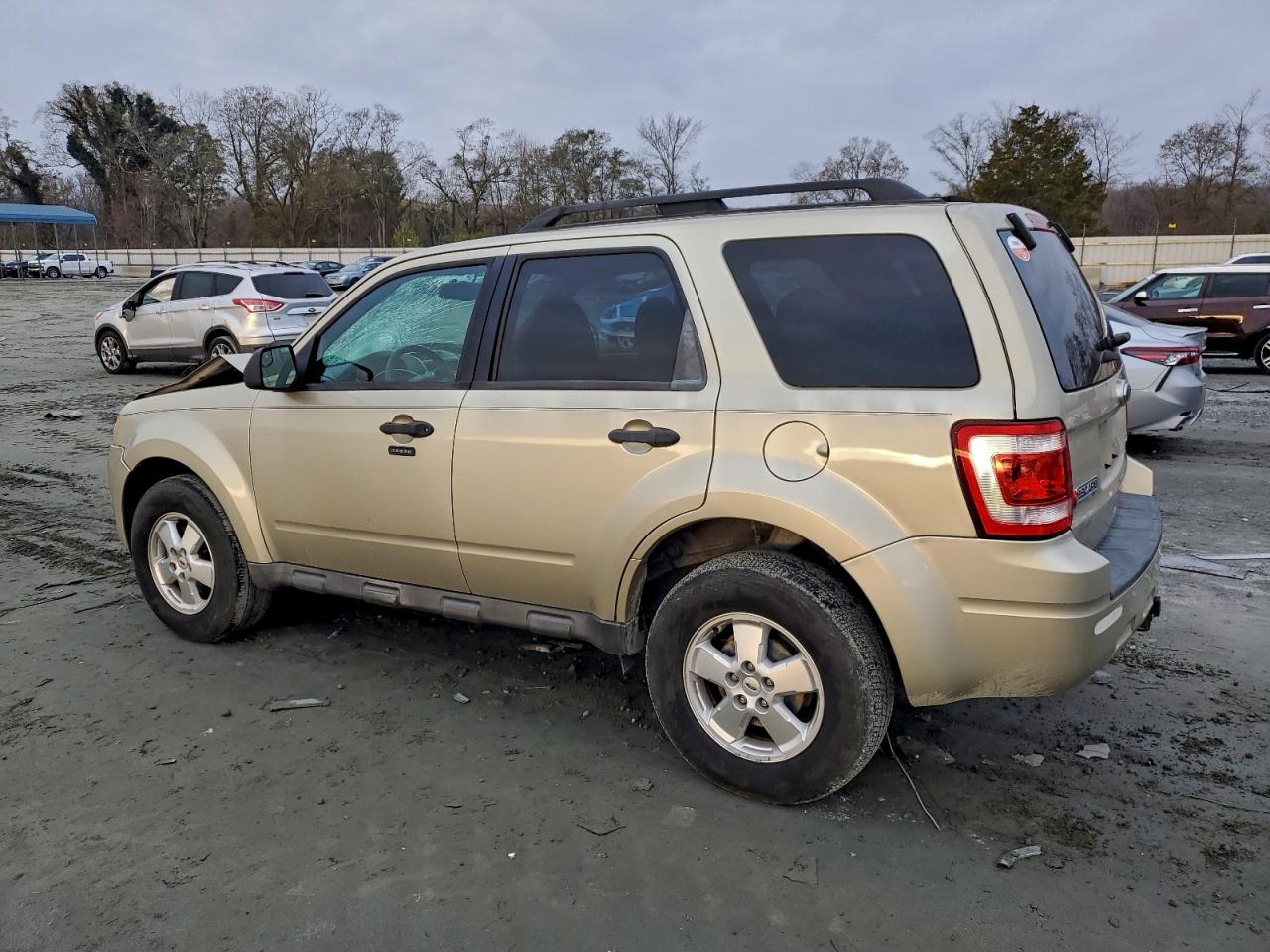 Ford Escape Xlt Image 6